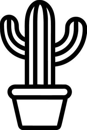 a cactus plant in a potの写真素材