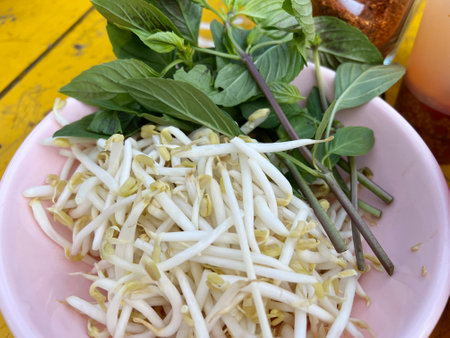 sweet basil with bean sprout for cooking