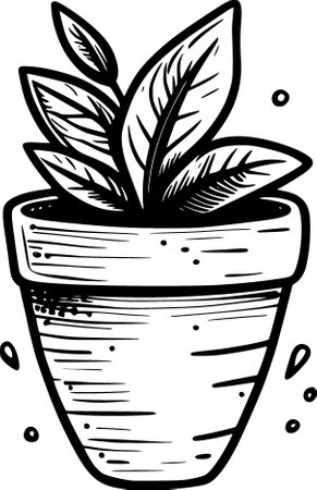 black and white sketch of a plant in a pot, isolated on whiteの写真素材