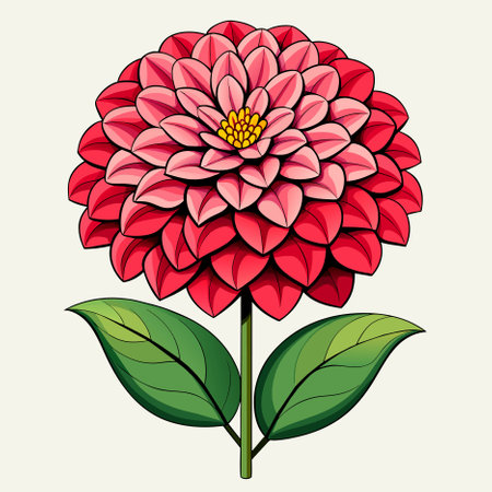 beautiful zinnia flower on white backgroundの写真素材