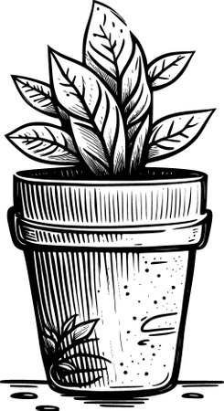 black and white drawing of a potted plantの写真素材