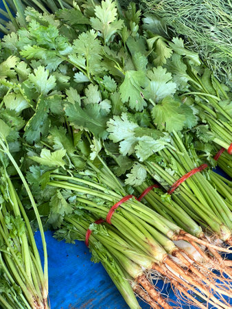 fresh vegetables for cooking on the marketの写真素材