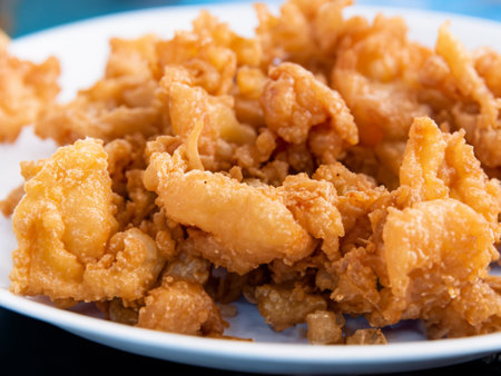 fried chicken on white dishの素材