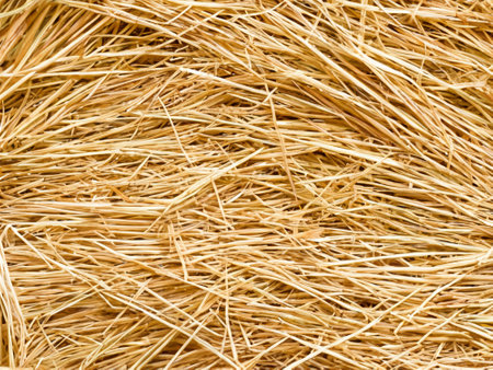 straw on white background, abstract backgroundの素材