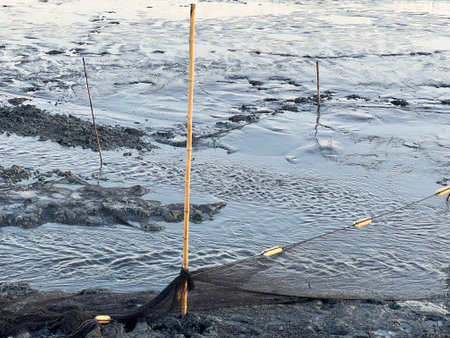 fishing net on the pond