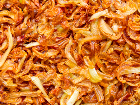 fried onion with garlic in the panの素材