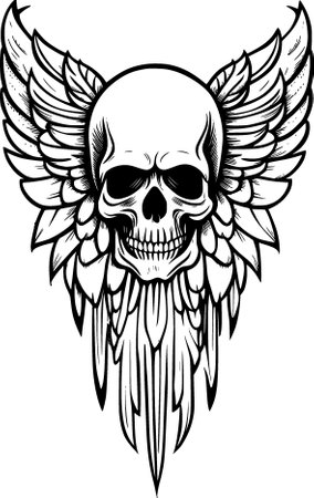 illustration of a skull with wingsの写真素材