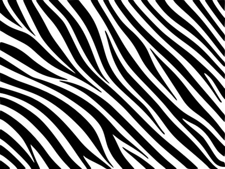 black and white striped background, zebra print pattern background.