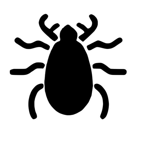 black and white silhouette of a spiderの写真素材