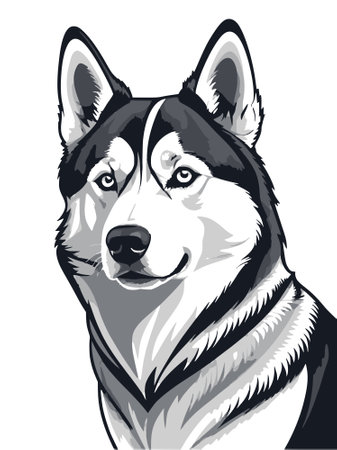 head of siberian husky dog, wolf logo, illustration isolated on white backgroundの写真素材