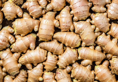 fresh organic ginger root on a backgroundの素材
