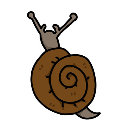 snail cartoon on white backgroundの写真素材