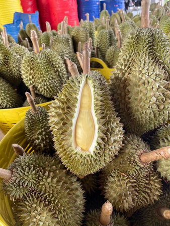 fresh durian fruit in marketの写真素材