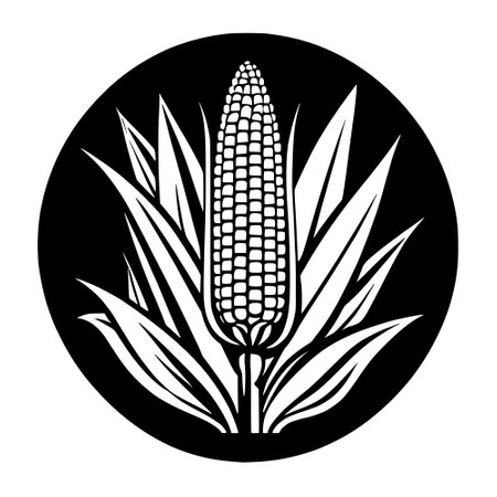 art corn icon, outline styleの写真素材