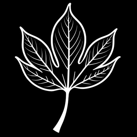 silhouette of leaf with black backgroundの写真素材