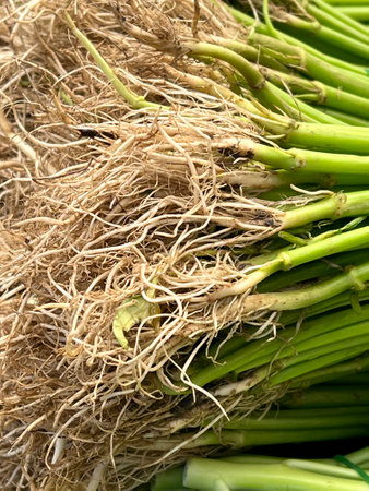 water spinach in the market