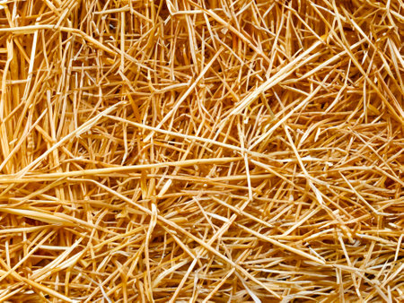 close up of a straw backgroundの素材