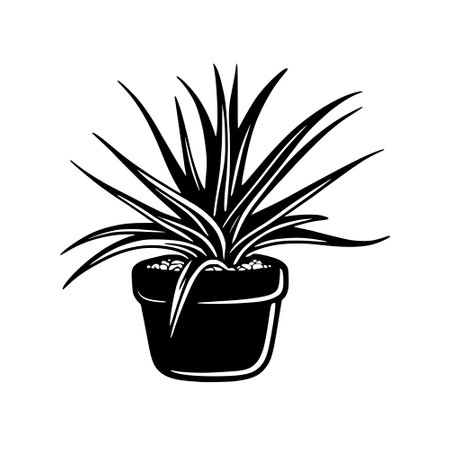 cactus in a pot. drawing. black and whiteの写真素材