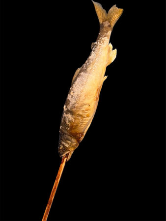 grilled fish on a black backgroundの写真素材