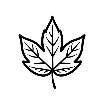 maple leaf icon, outline styleの写真素材