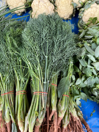 close up view of fresh vegetables, Dillの写真素材