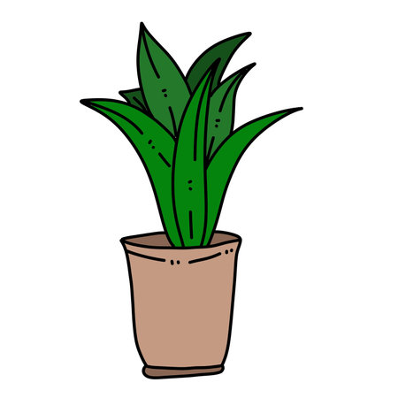 plant pot plant icon illustration designの写真素材