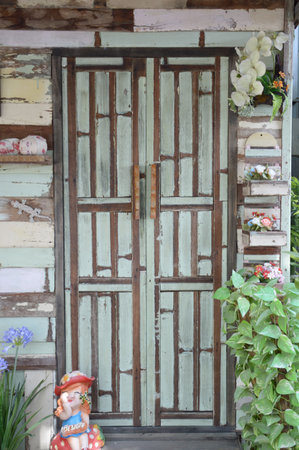 old wooden door with flower and plants