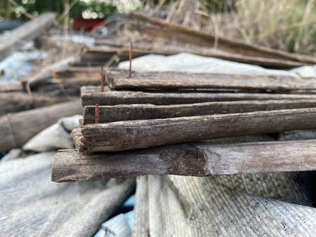 old wooden logs. background of wood texture.