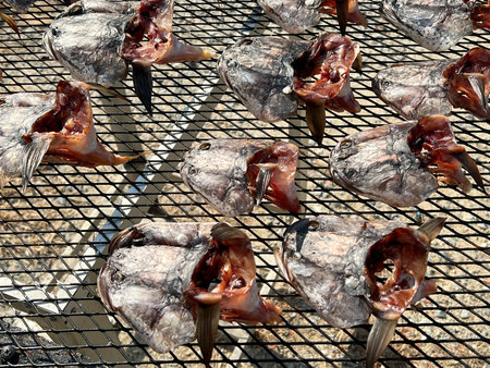 dried fish at the market
