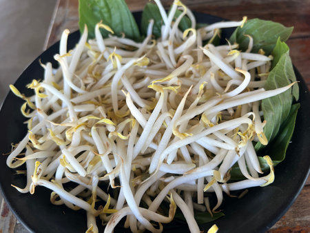 close up bean sprout in dish