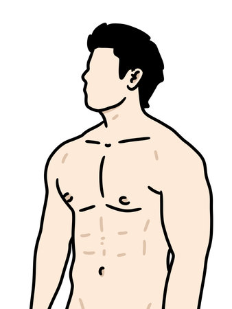cartoon male body on a white backgroundの写真素材
