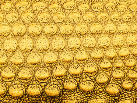 gold leather crocodile skin background.の素材
