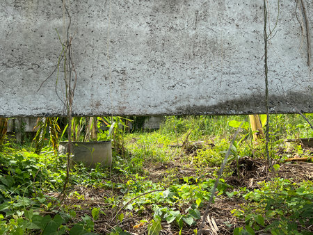 cement wall and hole in gardenの写真素材