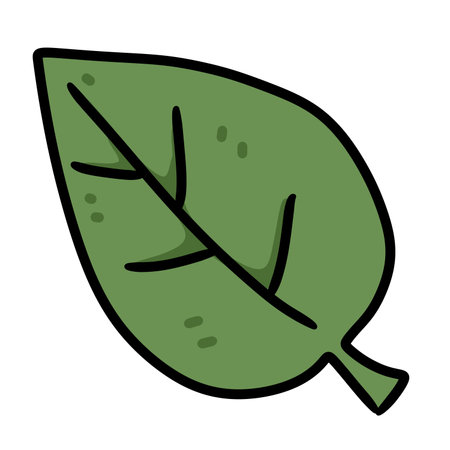 cartoon doodle leaf isolated on white backgroundの写真素材