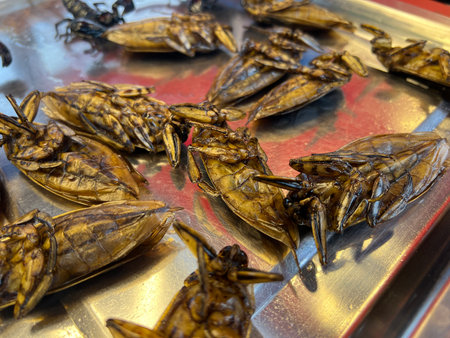 fresh Giant Water Bug in the market