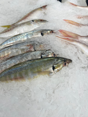 fresh sea bream fish with ice and fresh seafood on the counter.の写真素材
