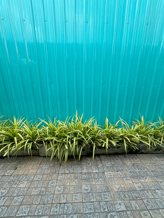 green wall of concrete with green leaves