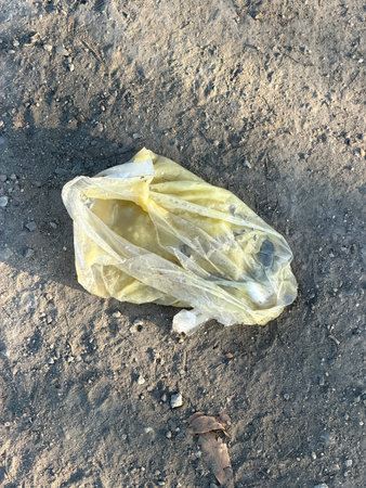 garbage in the forest