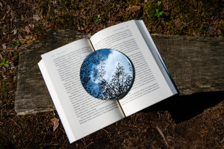 Metaphor. Reading is like growing a tree. Reflection of sky and trees in a book.の写真素材