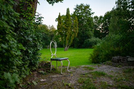 Display and Decorations in Green Garden, with Old Chair.の写真素材