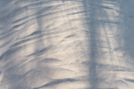 Shadows on Sand on the beach as background. For your Text.の写真素材