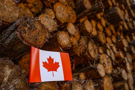 UN Climate Change Conference. Canada Deforestation. Ecological disaster, deforestation in Quebec and British Columbia. 2024の写真素材