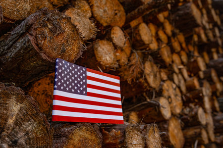 The United States Deforestation. Ecological disaster, deforestation in Alaska and Puerto Rico. 2024の写真素材