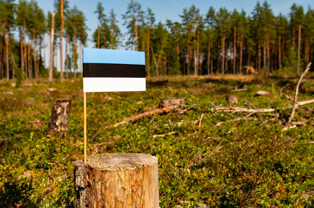 UN Climate Change Conference. Estonia Deforestation. Ecological disaster, deforestation in Estonia. 2024の写真素材