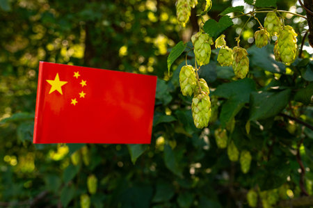 Branch of green fresh hops in the sun next to the brewery. China 2024