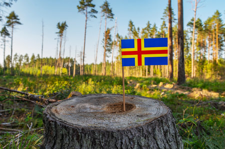 Aland Deforestation. Ecological disaster, deforestation in Jomala and Hammarland. Felled pine trees.の写真素材