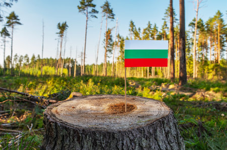 UN Climate Change Conference. Bulgaria Deforestation. Ecological disaster, deforestation in Sofia and Lovech. Felled pine trees. 2024の写真素材