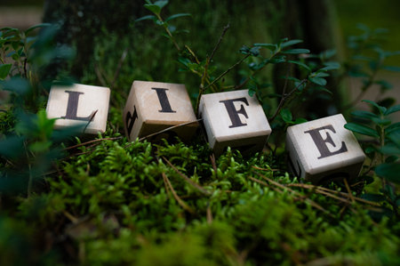 Life word on wood blocks with nature, forest, moss background. Greenの写真素材