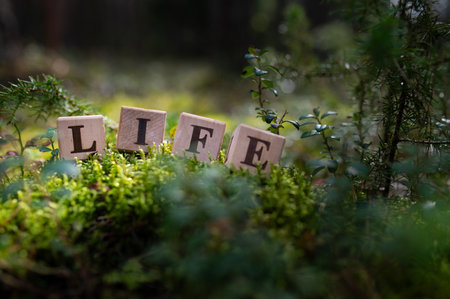 Life word on wood blocks with nature, forest, moss background. Greenの写真素材