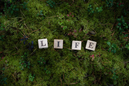 Life word on wood blocks with nature, forest, moss background. Greenの写真素材